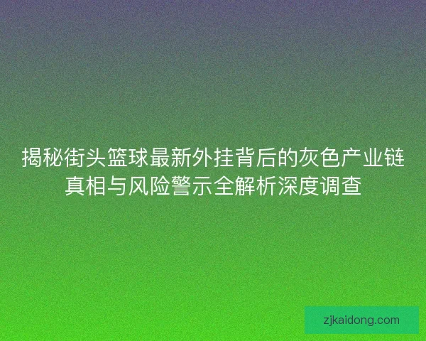 揭秘街头篮球最新外挂背后的灰色产业链真相与风险警示全解析深度调查