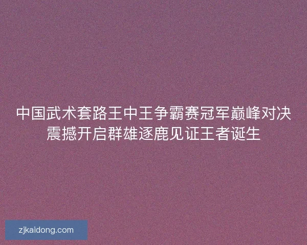 中国武术套路王中王争霸赛冠军巅峰对决震撼开启群雄逐鹿见证王者诞生